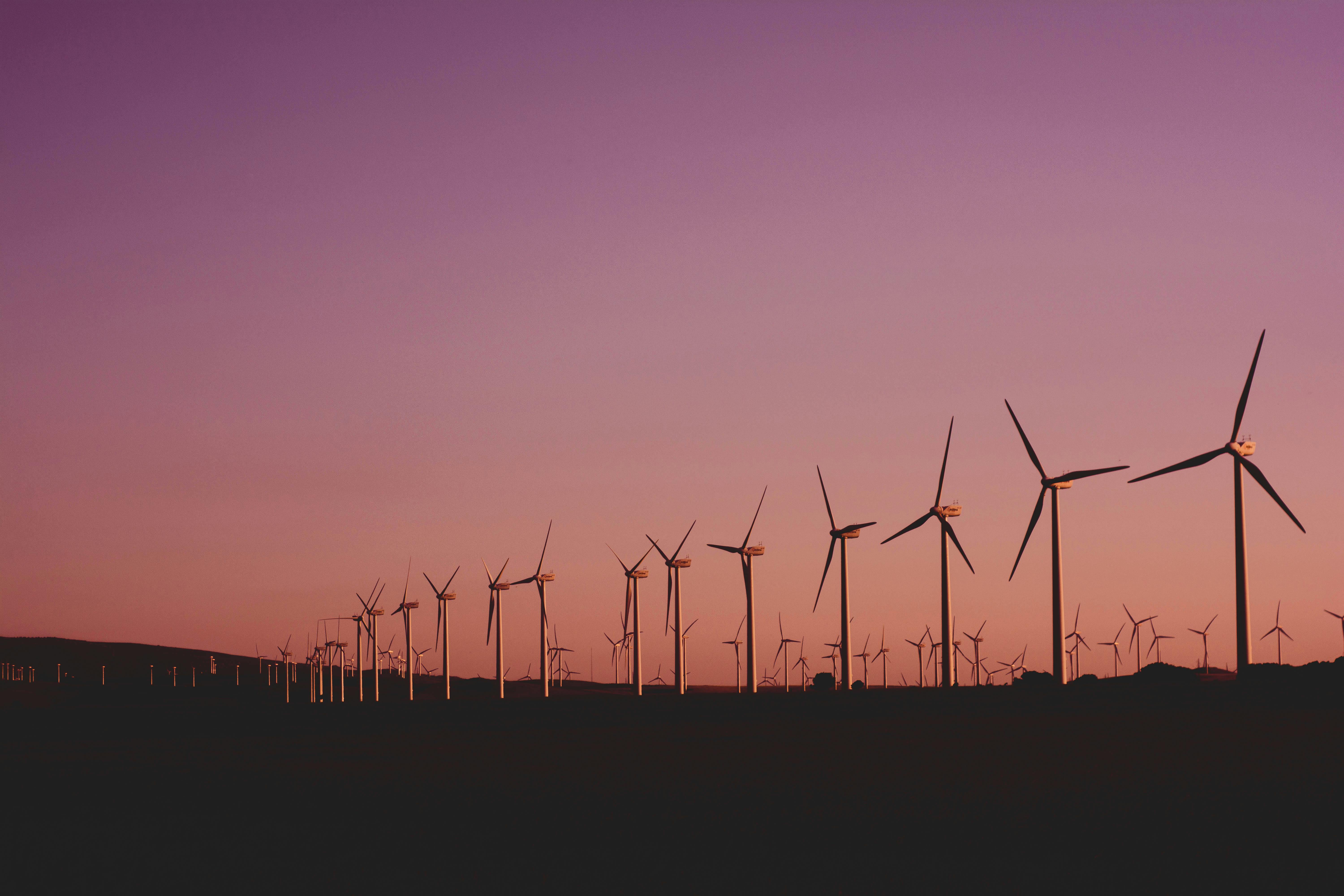 Energy & Sustainability